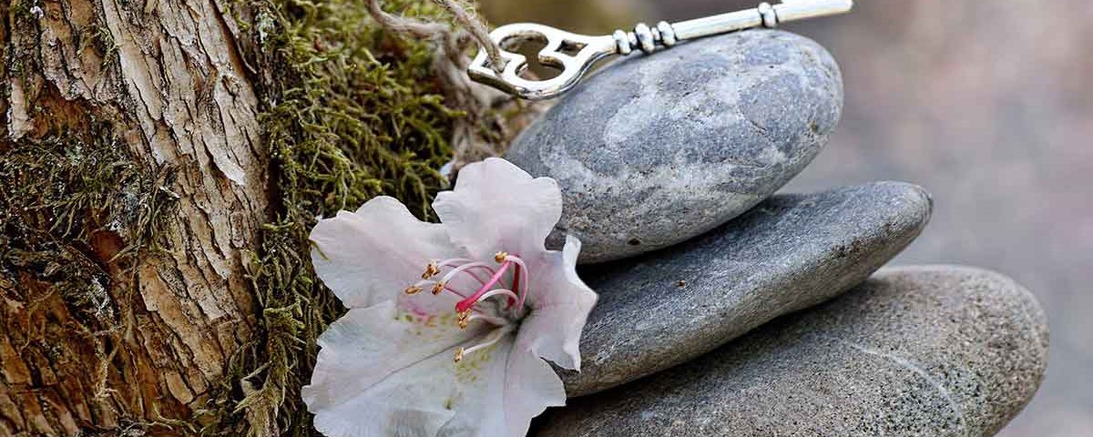 Sempati, Antipati ve Empati Üzerine